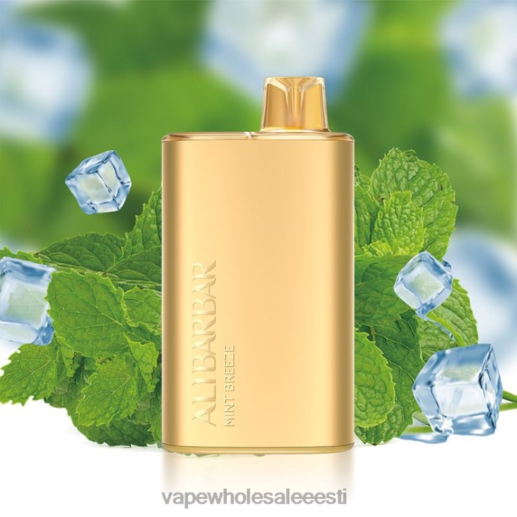 E Sigareti Vedelik - Alibarbar Rich 8000 ühekordset vape piparmündituul L44688