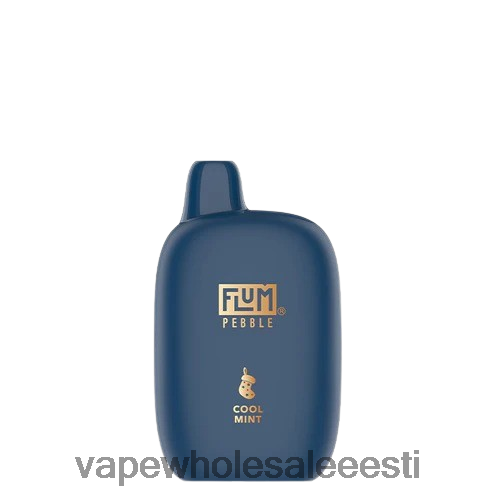 E Sigaret - FLUM PEBBLES 6000 pahvi (jõuluväljaanne) lahe piparmünt R4F0L85