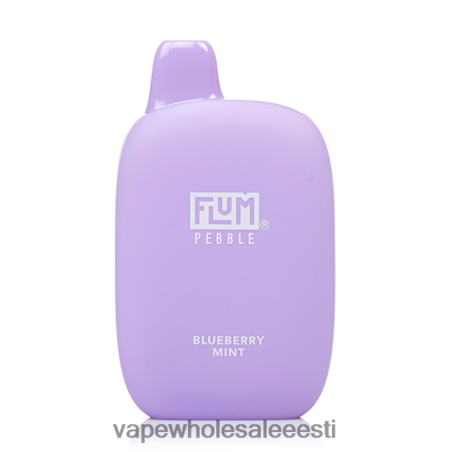 Vape Tallinn - FLUM PEBBLES 6000 pahvi mustika piparmünt R4F0L823
