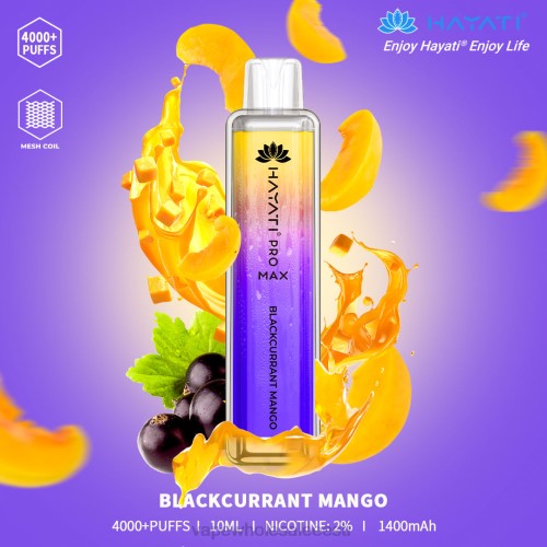 mustsõstra mango