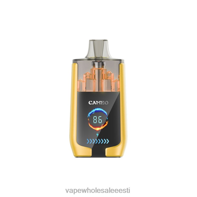 Vape Wholesale Eesti - LAVIE CAMEO 30 000 pahvi J4H4J21 mango jää