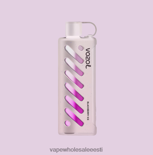 Vape Wholesale Eesti - VOZOL käik Shisha 25000 mitu R4F0L81