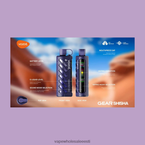 Vape Wholesale Eesti - VOZOL käik Shisha 25000 mitu R4F0L81