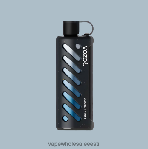 Vape Wholesale Eesti - VOZOL käik Shisha 25000 mitu R4F0L81