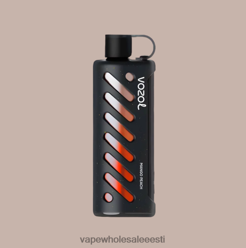Vape Wholesale Eesti - VOZOL käik Shisha 25000 mitu R4F0L81
