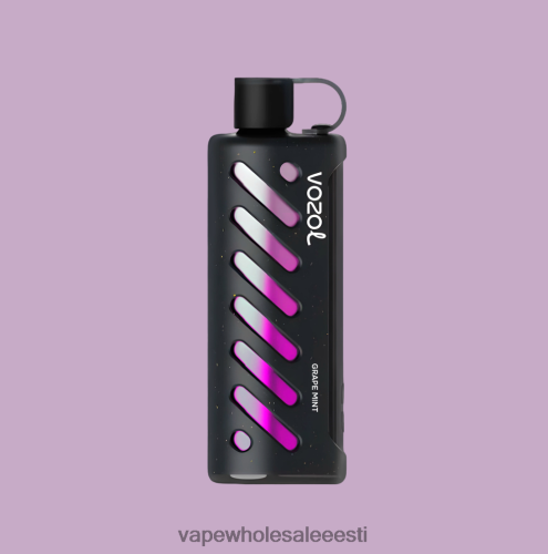 Vape Wholesale Eesti - VOZOL käik Shisha 25000 mitu R4F0L81