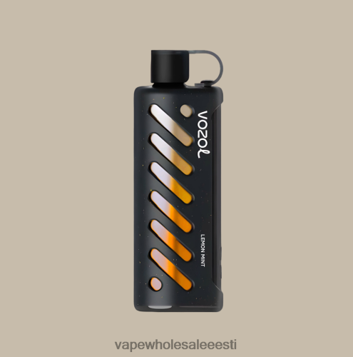 Vape Wholesale Eesti - VOZOL käik Shisha 25000 mitu R4F0L81